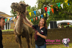 140628_VillageVets_OpenDay_102_IMG_0613_FINAL