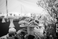 SteveMerchantPhotography_022